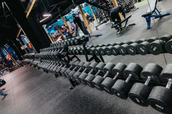 TBB Raheen Free Weights Section